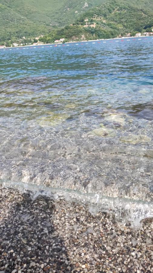 Montenegro Colors カメナリ エクステリア 写真